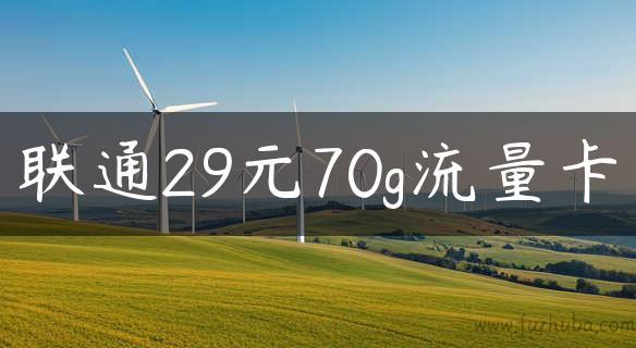 联通29元70g流量卡